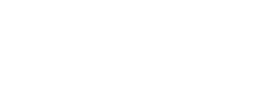 DAMO Academy